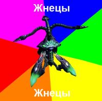 zhnec.jpeg
