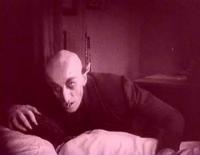 nosferatu.jpg