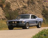 mustang_shelby_gt_500_67_20.jpg