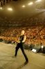 metallicacolour1391.jpg