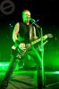 metallicacolour1562.jpg